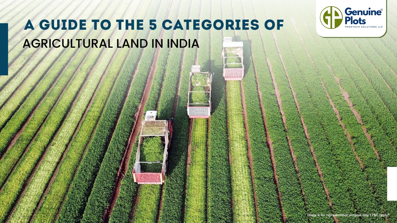 A Guide to the 5 Categories of Agricultural Land in India